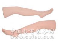 �߼���Ʒ����ϰ��ģ�� ��Ʒ����֫ģ��