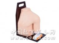 ���Ӽ�ؽ�ǻ��ע��ģ��