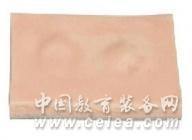 ŧ���п�������ģ��