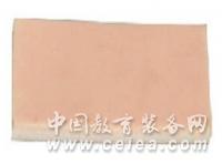 Ƥ֬�������г�����ϰģ��